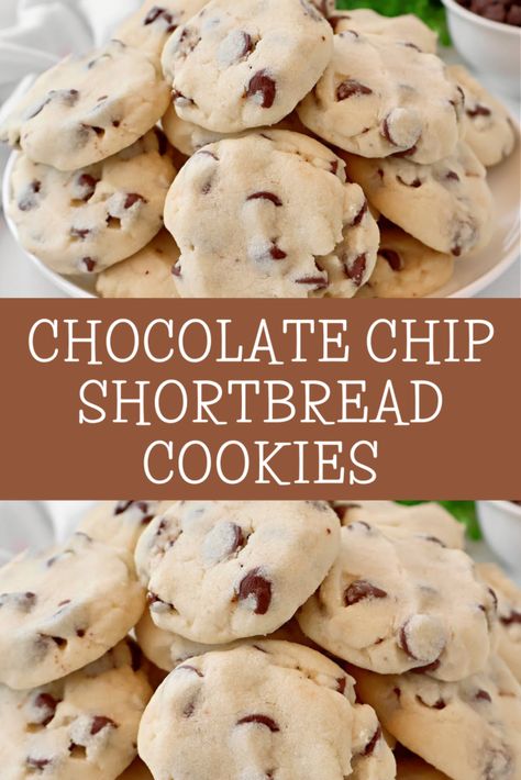 Chocolate Chip Shortbread Cookies ~ Buttery shortbread cookies studded with chocolate chips for a simple yet indulgent treat. Chocolate Chunk Shortbread Cookies, Mini Chocolate Chip Shortbread Cookies, Choc Chip Shortbread, Shortbread Chocolate Chip Cookies, Chocolate Shortbread Cookies Recipes, Easy Homemade Cookie Recipes, Simple Cookie Recipe, Easy Shortbread Cookie Recipe, Chocolate Chip Shortbread