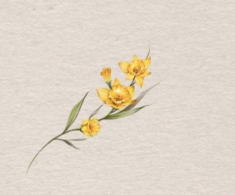 Dafodill Flowers Tattoo Color, Dafodill Flowers Tattoo Design, Colored Daffodil Tattoo, Daffodil Reference, Narcissus Flower Tattoo Color, Daffodil Tattoo Small Simple, Daffodil Tattoo Color, Dafodill Flowers Drawing, Yellow Flower Tattoo