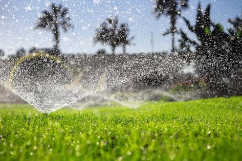 Photo sprinklers watering the green lawn... | Premium Photo #Freepik #photo #sprinkler #irrigation-system #irrigation #drip-irrigation Automatic Irrigation System, Landscaping Garden, Water Bill, Water Waste, Water Efficiency, Sprinklers, Drip Irrigation, Water Usage, Green Lawn