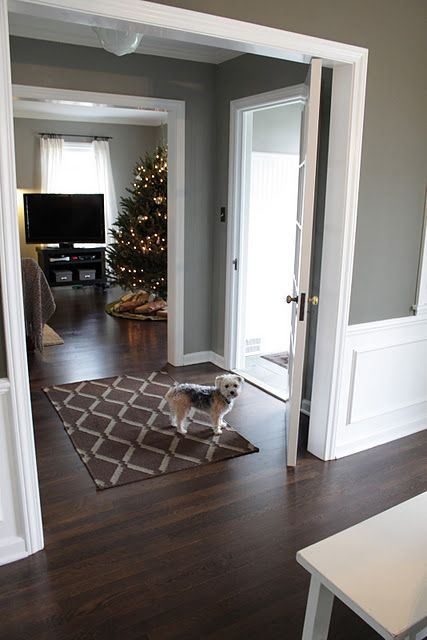 Dark Wood Floors Living Room, Dark Wood Living Room, Dark Brown Floor, Wood Floor Colors, White Wood Floors, Living Room Wood Floor, Grey Wood Floors, Room Decor Dark, Brown Floors