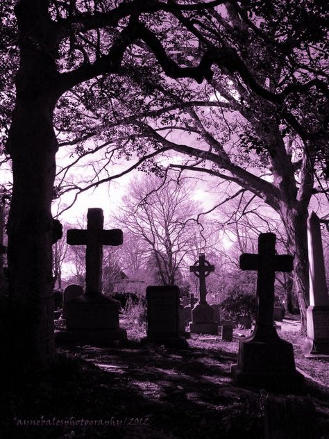 Pink Graveyard, Purple Graveyard, Movies Like Scream, Aesthetic Graveyard, Binding Paper, Gothic Pictures, Scary Images, I Love Horror, Gothic Room