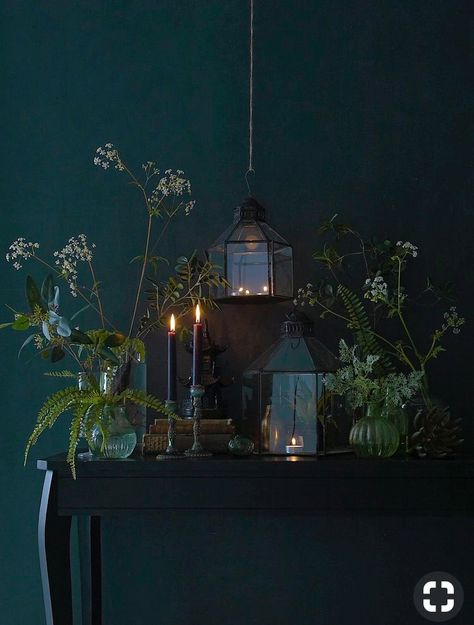 Ivy House, Dark Home, Bedroom Plants, Dark Walls, Bohemian Accessories, Dark Interiors, Design Del Prodotto, Style At Home, Green Wall