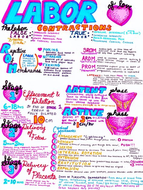 Ob Nursing Student Cheat Sheets, Ob Nursing Student, Nursing Ob, Labor And Delivery Nursing, False Labor, Obstetrics Nursing, Midwifery Student, Baby Delivery, Pinning Ceremony