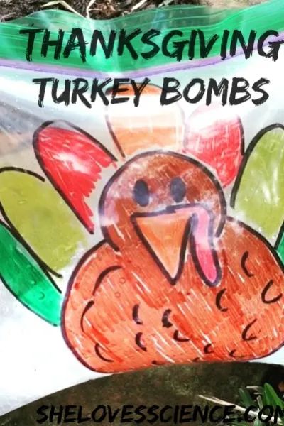 Thanksgiving Thanksgiving Science Experiments Preschool, Turkey Science, Thanksgiving Stem Activities, Thanksgiving Stem, Thanksgiving Toddler, Thanksgiving Activities Preschool, Science For Toddlers, Thanksgiving Crafts Preschool, November Activities