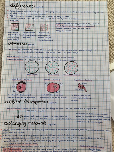 Plasma Membrane Notes, Bio Diagrams, Preppy Notes, Cell Transport, Science Revision, Biology Revision, Plasma Membrane, Study Corner, Aesthetic Notes