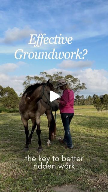 Whitford Equestrian - Compassionate Horse Training on Instagram: "HERE’S HOW ⬇️

Your groundwork DIRECTLY translates to the work you do under saddle. 

If your horse is tense on the ground, no amount of riding will ‘teach’ him to get rid of that tension as effectively as good groundwork. 

If the horse I’m working with can’t complete or engage in an activity while I’m on the ground, then I firmly believe I have zero business trying to get on their back. 

Your groundwork is your foundation work, and if that’s missing, you’ll see gaps in your ridden work. 

When I talk about groundwork, I’m not talking about rope swinging, bluff and bluster. I’m talking about mental connection, and a willingness to move bodies to accommodate requests. 
It’s not hours of lunging or backing a horse up the len Groundwork For Horses, Mental Connection, Horse Training Ground Work, Horse Training, The Horse, A Horse, Talk About, Equestrian, Saddle