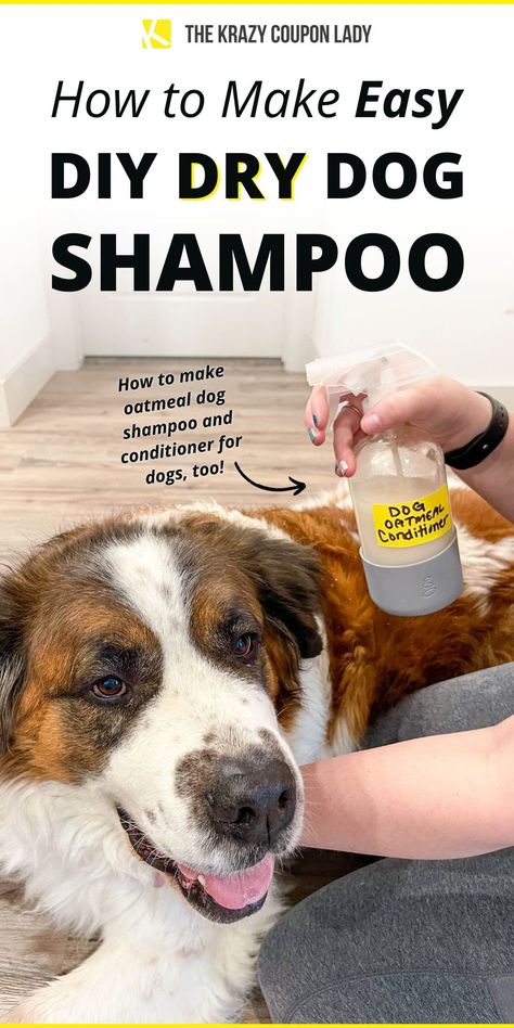 Searching for DIY dog shampoo, oatmeal dog shampoo recipe, or how to make homemade dog shampoo? Have you tried DIY dry dog shampoo? It's a game-changer for you and your fur-babies! Making your own lets you control the ingredients, and it can also prevent irritation since many soaps can cause dry skin and have a lot of preservatives. The Krazy Coupon Lady has the DIY recipe for dogs and other money-saving pet hacks you need to know! Diy Dry Dog Shampoo Homemade, Homemade Dog Shampoo With Coconut Oil, Dry Dog Shampoo Diy, No Rinse Dog Shampoo Diy, Diy Dog Grooming Products, For Dogs Diy, Diy Waterless Dog Shampoo, Diy Dog Dry Shampoo, Dog Moisturizer Skin Diy