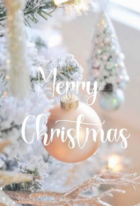 December Month, Merry Christmas Wallpaper, Merry Christmas Pictures, Happy Birthday Celebration, Happy Merry Christmas, Merry Christmas Wishes, Winter Wonderland Christmas, Animated Christmas, Christmas Wonderland