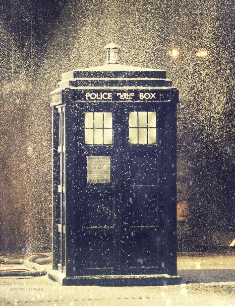 Its so beautiful... Police Box, Wibbly Wobbly Timey Wimey Stuff, Torchwood, Timey Wimey Stuff, Matt Smith, Time Lords, Blue Box, Nerd Alert, Geek Out