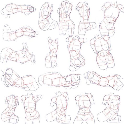 Torso construction grind by JellyBX on DeviantArt Torso Construction, Geometric Shapes Drawing, Drawing Female Body, Body Shape Drawing, Art Help, Human Figure Drawing, Human Anatomy Art, Anatomy Sketches, Body Reference Drawing