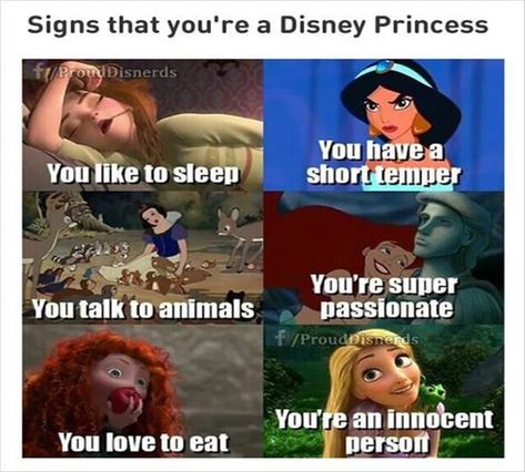 Disney Princess Jokes, Cinderella Funny, Disney Princess Memes, Disney Princess Funny, Princess Quotes, Disney Theory, Funny Disney Memes, 9gag Funny, Disney Princess Quotes