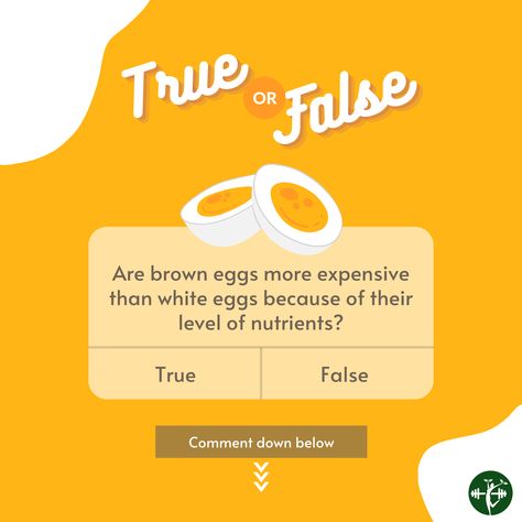 Egg Marketing Ideas, Do You Know Facts, Instagram Story Ads, Digital Advertising Design, Photoshop Tutorial Typography, Ads Creative Advertising Ideas, Desain Editorial, Interactive Posts, Women Health Care