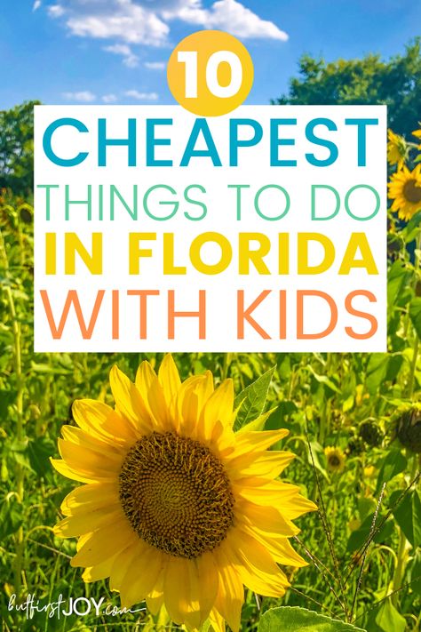 In this guide, I'm giving an insider's look at the absolute cheapest things to do in Florida with kids. Most are free and all are a great way to get to know the Sunshine State. #FloridaLiving #LoveFL #FloridaMoms Things To Do In Florida With Kids, Old Town Kissimmee, Florida With Kids, Things To Do In Florida, Northwest Florida, Florida Adventures, Trip Packing, Florida Life, Florida Trip