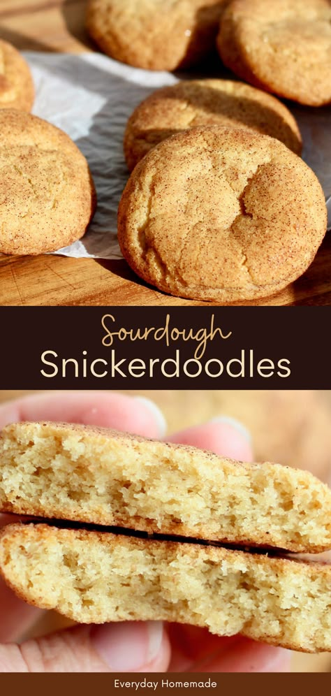 These Sourdough Snickerdoodles are the best holiday treat! Made with sourdough starter discard for a tangy twist, they’re soft, chewy, and rolled in cinnamon sugar. This simple recipe is made without cream of tartar, making the cookies easy to prepare the same day or ahead of time. Perfect as sourdough Christmas cookies, they’re a quick and delicious homemade dessert idea for your holiday gatherings! Sourdough Snowball Cookies, Sourdough Discard Thumbprint Cookies, Sourdough Christmas Cookies Recipe, Christmas Sourdough Discard Recipes, Sourdough Discard Snickerdoodles, Sourdough Discard Snickerdoodle Cookies, Sourdough Dessert Recipe, Sourdough Cookies Easy, Sourdough Sugar Cookie Bars