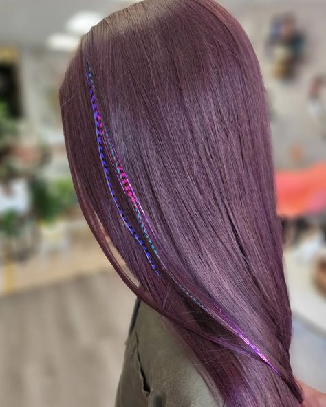 This little gal got a purple Glaze some feathers and her Tinsel for have birthday! @studio_m_salon_1405 @matrix @framar #mindirockshair #matrix #studiomsalon1405 #vanburenstylist #arkansasstylist #behindthechair #modernsalon #americansalon #saloncentric #purple #purplehair #feathers #hairfeathers Gal Got, Studio M, Feathered Hairstyles, Modern Salon, Purple Hair, Matrix, Feathers, Hair Wrap, Glaze