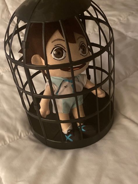 Oikawa Plush Meme, Oikawa Plush Being Abused, Oikawa Cursed, Haikyuu Plushies, Oikawa Plushie, Oikawa Plush, Anime Plushies, Haikyuu Volleyball, Oikawa Tooru