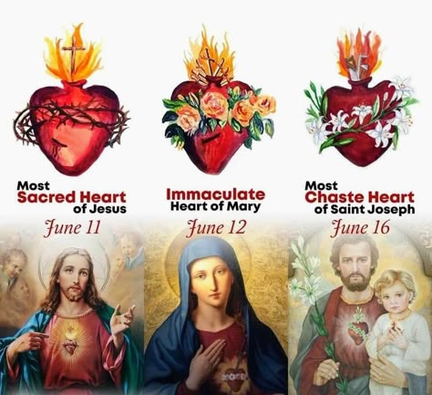 Sacred Heart Of Joseph, Chaste Heart Of St Joseph, Sacred Heart Art, Catholic Artwork, Catholic Beliefs, Sacred Hearts, Catholic Decor, Catholic Images, Christian Artwork