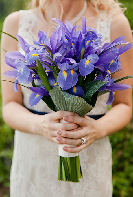 Brides.com: . Iris. The inspiration for the fleur de lis, France's national emblem, the iris represents three important entities: faith, valor and wisdom. It's best known for its deep purple shading. Iris Wedding Flowers, Iris Wedding Bouquet, Purple Bridesmaid Bouquets, Diy Bridesmaid Bouquet, Iris Wedding, Iris Bouquet, Lilac Wedding Bouquet, Wedding Flower Guide, Purple Wedding Bouquets