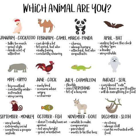 What Animal Are You, Celtic Zodiac, Talk Too Much, Meditation Apps, Always Hungry, Mom Tattoos, Black Tattoos, Spirit Animal, Really Funny