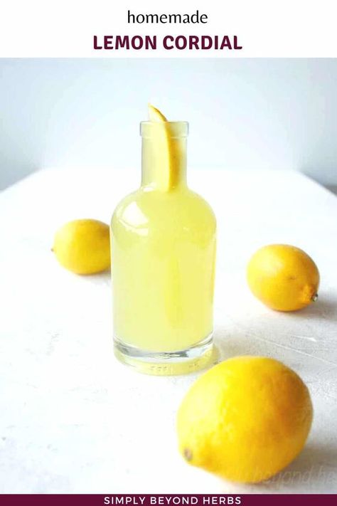 Lemon Cordial Recipe, Cordial Recipe, Lemon Uses, Lemon Syrup, Herb Recipes, Paleo Treats, Juicing For Health, Orange Recipes, Lemon Meringue