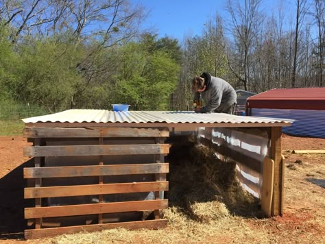 Pig Pen With Pallets, Building Pig Pens, Feeder Pig Pen, Diy Hog Pen, Pig Hut Ideas, Pig Pens Diy, Hog Pen Ideas How To Build, Diy Pig Pen Ideas, 4h Pig Pen