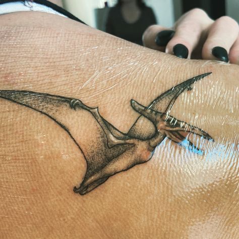 Pterodactyl Tattoo, Halloween Shoot, Tattoo Design Book, Design Book, Tattoo Inspo, Tattoos And Piercings, Tattoo Design, Book Design, Tatting