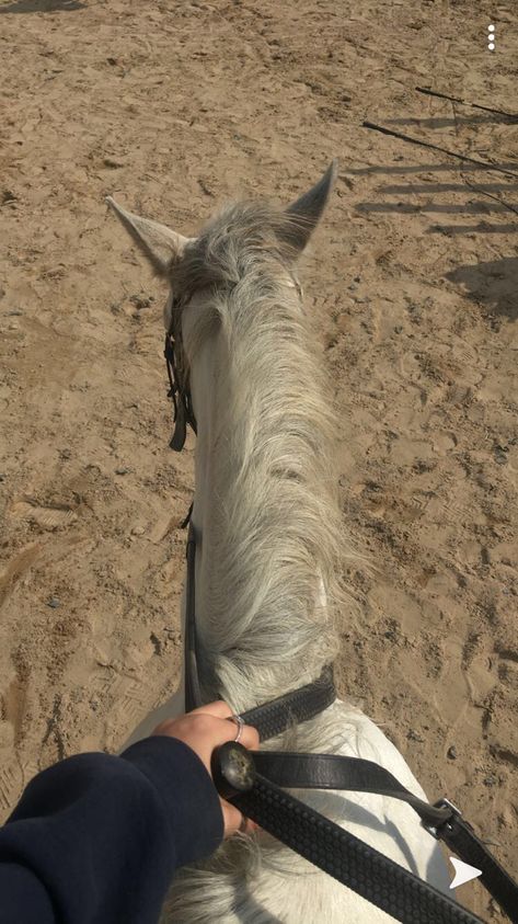 White Horse Riding, Jordan Painting, Black Wallpapers Tumblr, Horse Riding Aesthetic, Cute Horse Pictures, Best Friends Cartoon, Instagram Photo Frame, Vintage Flowers Wallpaper, Small Wrist Tattoos