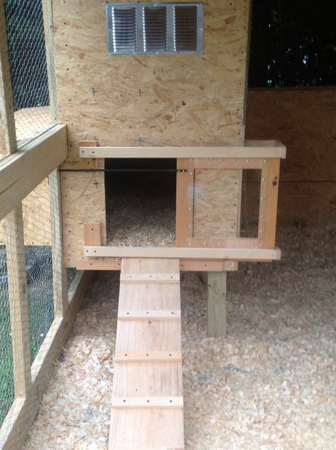 Chicken coop with sliding door Sliding Chicken Coop Door, Chicken Door Ideas, Chicken Ramps, Chicken Coop Door, Coop Door, Chicken Farming, Backyard Chicken Farming, Silkie Chickens, Chicken Garden