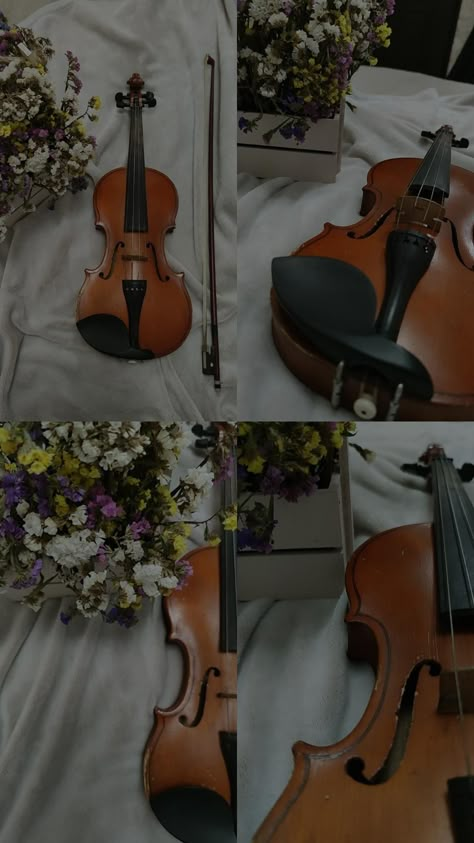 Aesthetic Violin Pictures, Tanvi Core Aesthetic, Tanvi Core, Sena Core, Violin Aesthetic, Violin Pics, Violin Photography, Cool Violins, Violin Design