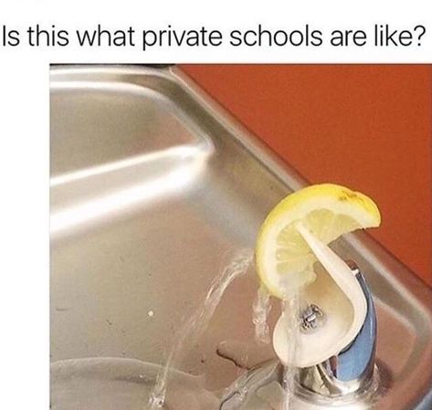 Is this what private schools are like.... yes, yes they are 😋💯 Private School Problems, Be Like Meme, Private Schools, Quality Memes, School Memes, Fresh Memes, Sarcasm Humor, Wholesome Memes, Private School