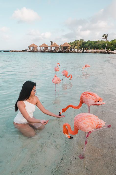 Aruba Vacation Outfits, Vacation Planning Printables, Flamingo Beach Aruba, Beach Vacation Tips, Aruba Vacation, Costa Rica Travel Guide, Aruba Travel, Utah Road Trip, Flamingo Beach