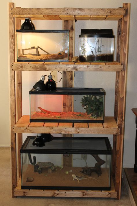 Shelving For Reptiles, Reptile Shelf Ideas, Reptile Tank Stand Diy, Reptile Enclosure Furniture, Reptile Tank Stand, Wood Projects Furniture, Diy Wood Projects For Beginners, Diy Reptile, Wood Working Ideas