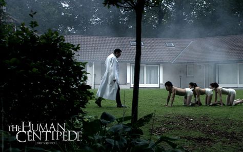 The Human Centipede A Serbian Film, The Human Centipede, Human Centipede, Best Halloween Movies, 1920x1200 Wallpaper, Best Horror Movies, Worst Movies, Infographic Marketing, Halloween Movies