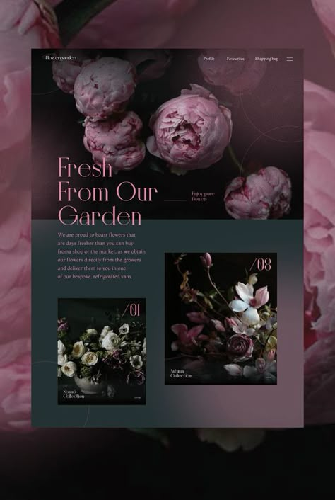 Aesthetic Website Design Inspiration, Aesthetic Brochure Layout Design, Aesthetic Website Design Layout, Website Design Elegant, Grafic Design Ideas Art, Elegant Design Graphic, Flower Website Design, Grafic Design Ideas Graphics, Website Ideas Inspiration