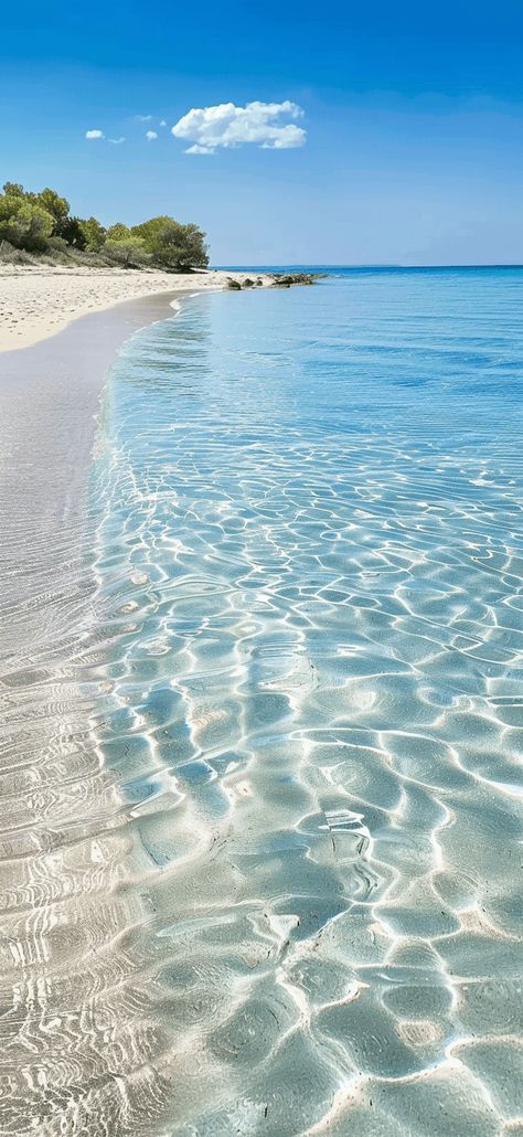 Beachy Backgrounds, Beach Lockscreen, Ocean Wallpaper Aesthetic, Beach Pathway, Sea Pics, Ocean Wallpapers, Water Sparkling, Summer Beach Wallpaper, Pretty Ocean