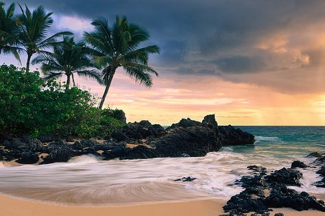 Makena Cove in Maui...most beautiful place I've ever been. Chose this as my baby girl's middle name :) Hq Wallpaper, Strand Wallpaper, Hawaii Landscape, Tree Sunset, Palm Trees Beach, Hawaiian Vacation, Beach Background, Secret Beach, Beach Wallpaper