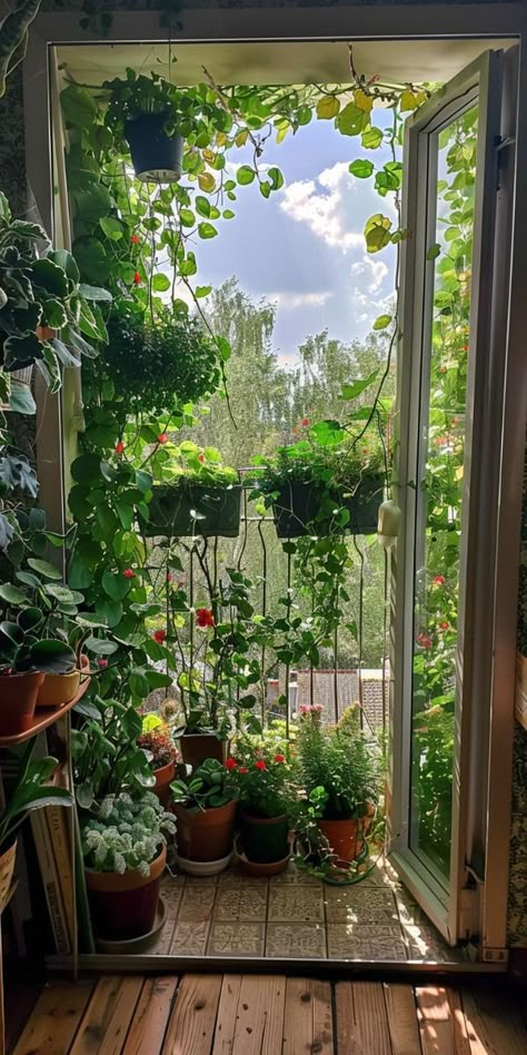 Garden Ideas For Beginners, Window Sill Plants, Green Balcony, Apartment Gardening, Small Apartment Balcony Ideas, Balcony Garden Ideas, Boho Ideas, Balcony Gardening, Balkon Decor