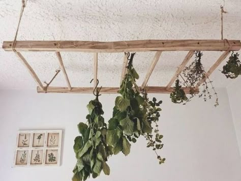 How To Choose The Best Herb Drying Rack | Indoor Garden Nook Herb Hanging, Hanging Herb Gardens, Herb Drying Rack, Flower Drying, Vertical Herb Gardens, Herb Rack, Herb Drying, Hanging Herbs, Garden Nook