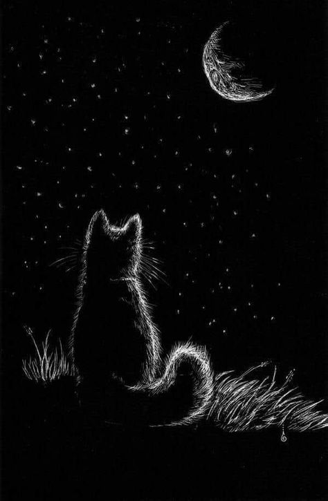 Black Cat Drawing, Glen Keane, Painting Videos Tutorials, Animals Tattoo, Otto Schmidt, Scratchboard Art, Mary Blair, Black Paper Drawing, Eve Online