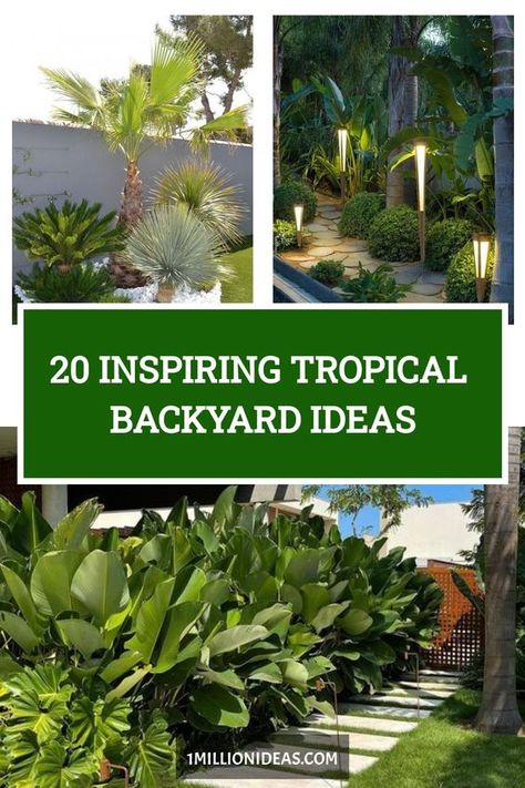 If your house has a backyard, you are lucky when owning a special space for yourself, your family, and your friends to… Tropical Landscaping Ideas Backyards, Palm Tree Landscape Ideas Backyards, Tropical Landscaping Around Pool, Tropical Flower Bed, Florida Backyard Landscaping, Backyard Tropical Oasis Ideas, Tropical Backyard Ideas, Landscaping Around Pool, Tropical Backyard Landscaping