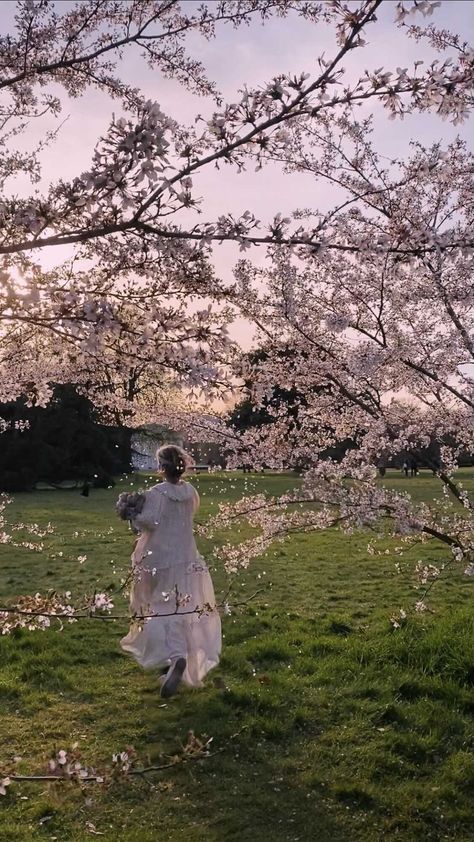 daria_mikhalevich on Instagram: Hymn for the Spring 🕊🌿🌸 by @kseniaparisphoto 📸 #cherryblossom #cottagecore #cottagecoreaesthetic Daria Core, Max Richter, Cottage Core Aesthetic, Four Seasons, Cherry Blossom, On Instagram, Instagram