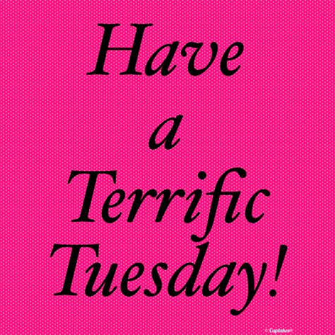 Daily Sayings, Have A Terrific Tuesday, Good Morning Rainy Day, Tuesday Greetings, Terrific Tuesday, Tuesday Blessings, Good Morning Love Gif, Body Makeover, Tuesday Quotes