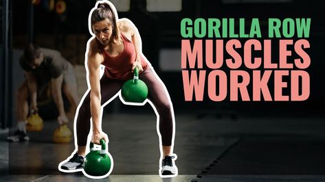 Gain insights into the gorilla row muscles worked, understand muscle groups & proper form. Build a strong back & maximize muscle mass in your workout routine Dumbbell Back Workout, Posture Correction Exercises, Back Day Workout, Upper Back Muscles, Forearm Muscles, Rowing Workout, Latissimus Dorsi, Muscle Imbalance, Compound Exercises