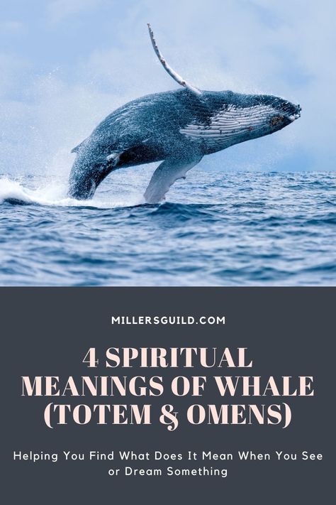 4 Spiritual Meanings of Whale (Totem & Omens) 1 Whale Symbolism Meaning, Whale Spiritual Meaning, Whale Spirit Animal Meaning, Humpback Whale Tail Tattoo, Whale Shark Tattoo Meaning, Whale Tattoo Meaning, Gray Whale Tattoo, Whale Back Tattoo, Whale Tail Meaning