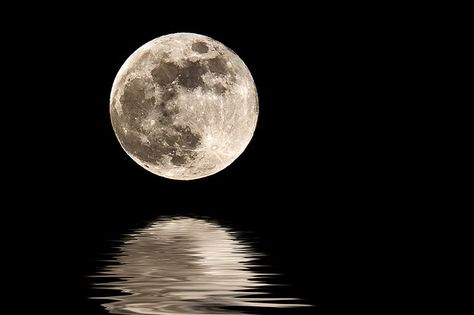 We only get to see one side of the moon -- this side.  The other side is never facing the earth. Full Moon Photos, Moon Wallpapers, Tattoos Infinity, Wallpaper Moon, Moon Shadow, Shoot The Moon, Luna Moon, Moon Photos, Moon Pictures