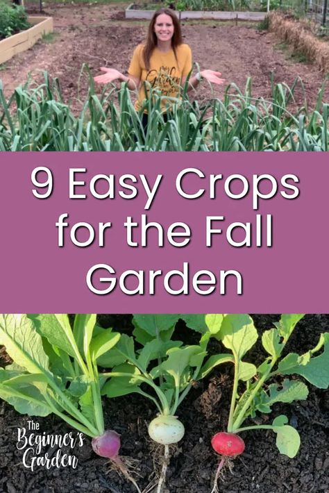 What crops can you grow in your fall vegetable garden? While there are many options, these may be the easiest for a beginner to start with! Garden Beginner, Fall Garden Planting, Fall Vegetable Garden, Fall Crops, Best Vegetables, Tattoo Plant, Fall Gardening, Vegetable Patch, Vegetable Garden Tips