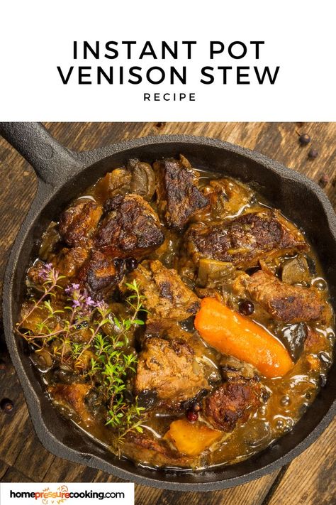 venison stew with vegetables and garnish Venison Recipes Instant Pot, Instant Pot Venison Stew, Venison Stew Instant Pot, Instant Pot Venison Recipes, Venison Instant Pot Recipes, Ground Venison Stew, Venison Stew Meat Recipes, Venison Bacon, Venison Casserole