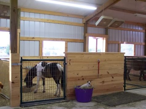 getting ready - Page 2 - Miniature Horse Forum - Lil Beginnings Miniature Horse Talk Forums - Page 2 Goat Stalls, Mini Horse Barn, Miniature Horse Barn, Farm Miniature, Mini Farming, Ranch Plans, Mini Donkeys, Livestock Showing, Farm Diy