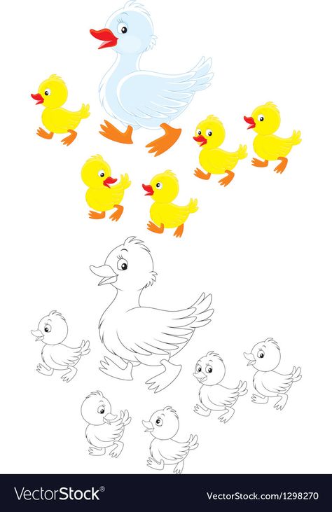 Duck Outline, Duck Walking, Duck And Ducklings, Outline Images, Cute Ducklings, Easter Coloring, Unicorn Coloring, Outline Illustration, Easter Coloring Pages