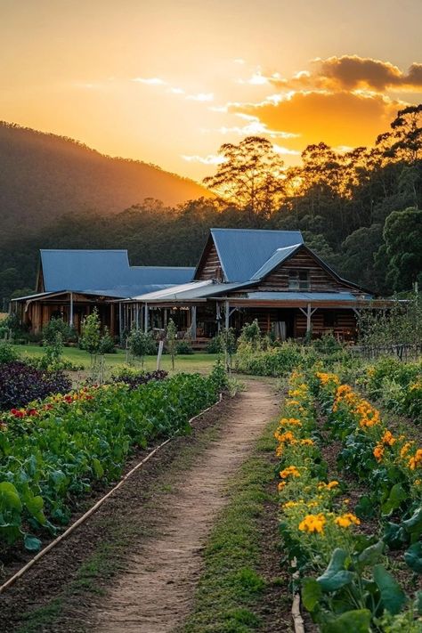 "Escape to organic farm stays for a fresh and sustainable getaway! 🚜🌱 Enjoy farm-to-table meals, reconnect with nature, and support eco-friendly practices. Perfect for a relaxing and eco-conscious retreat. 🌾🍽️ #FarmStay #OrganicTravel #SustainableLiving" Table Meals, Eco Farm, Sustainable Farm, Modern Homestead, Reconnect With Nature, Organic Farm, Farm Stay, Eco Friendly Travel, Organic Farming